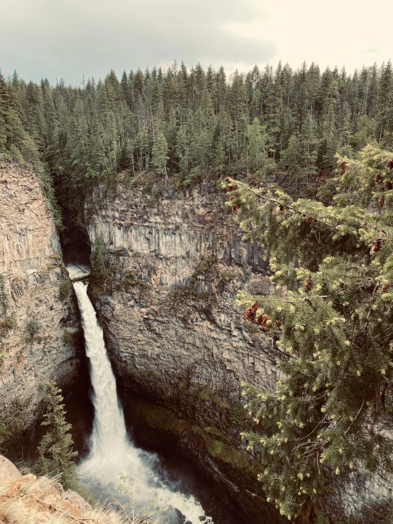 a waterfall running into the middle of a forest