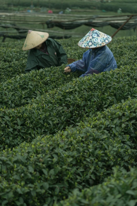 two people kneeling in the middle of a field