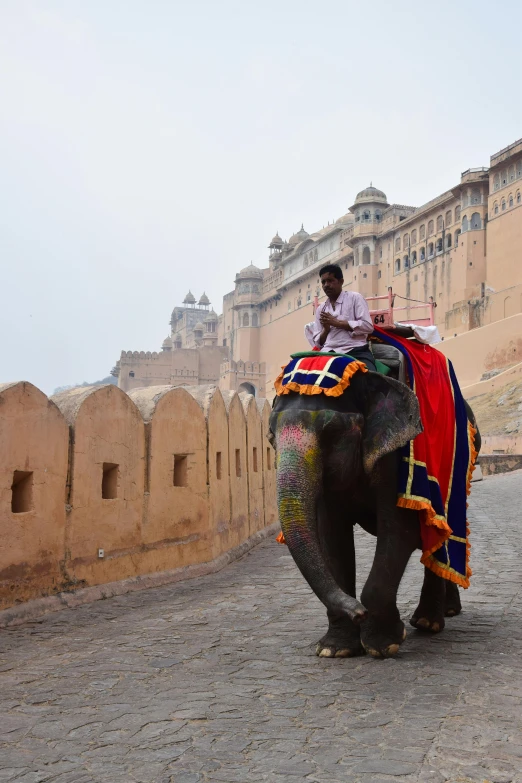 a man riding an elephant down a street