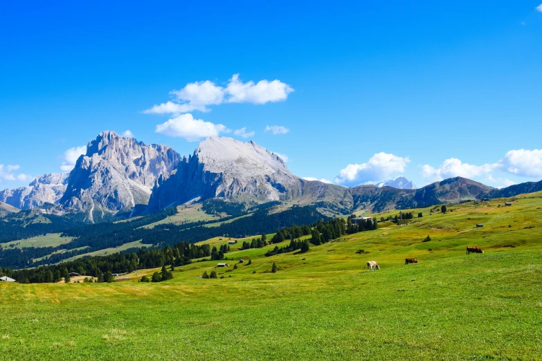 animals grazing on grass in a meadow with mountains in the background