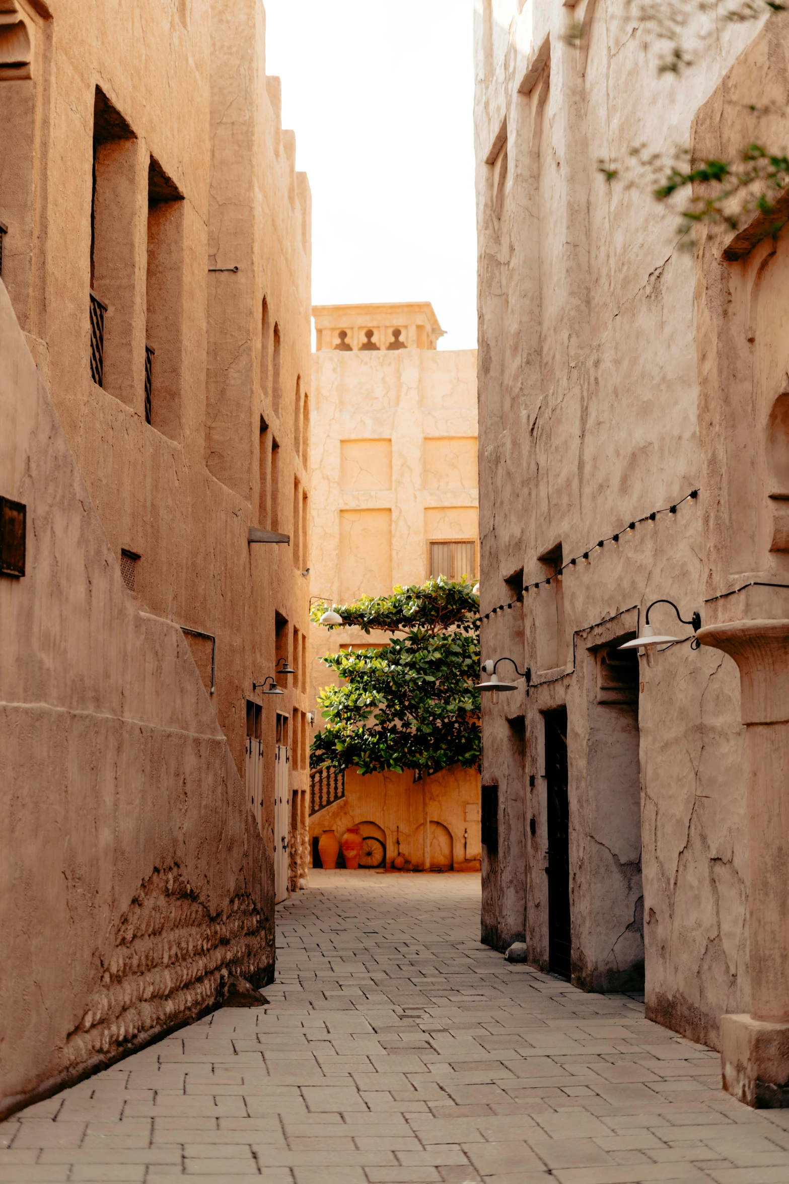 an alley way has brick pavement and plants