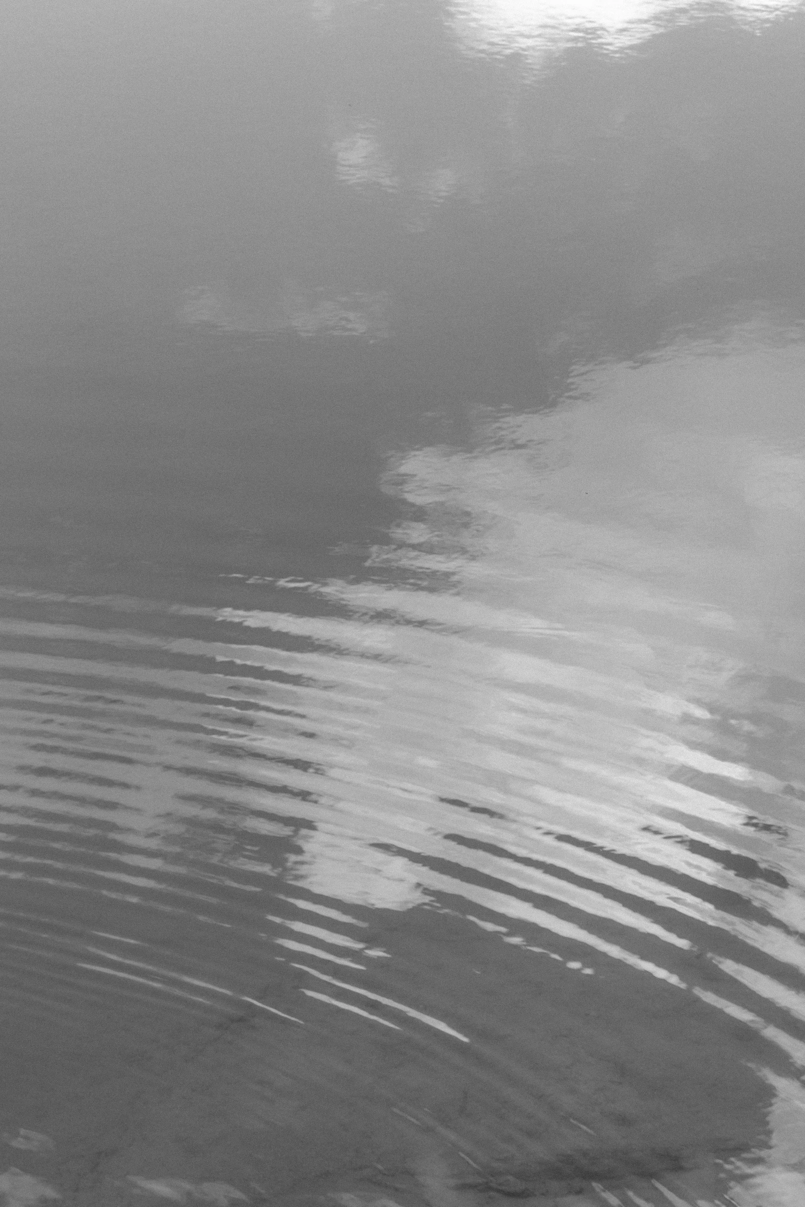 a bird swimming in a pond covered with water