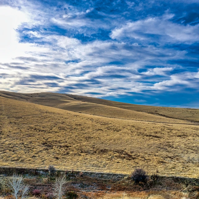 a large field of dry grass with some blue sky