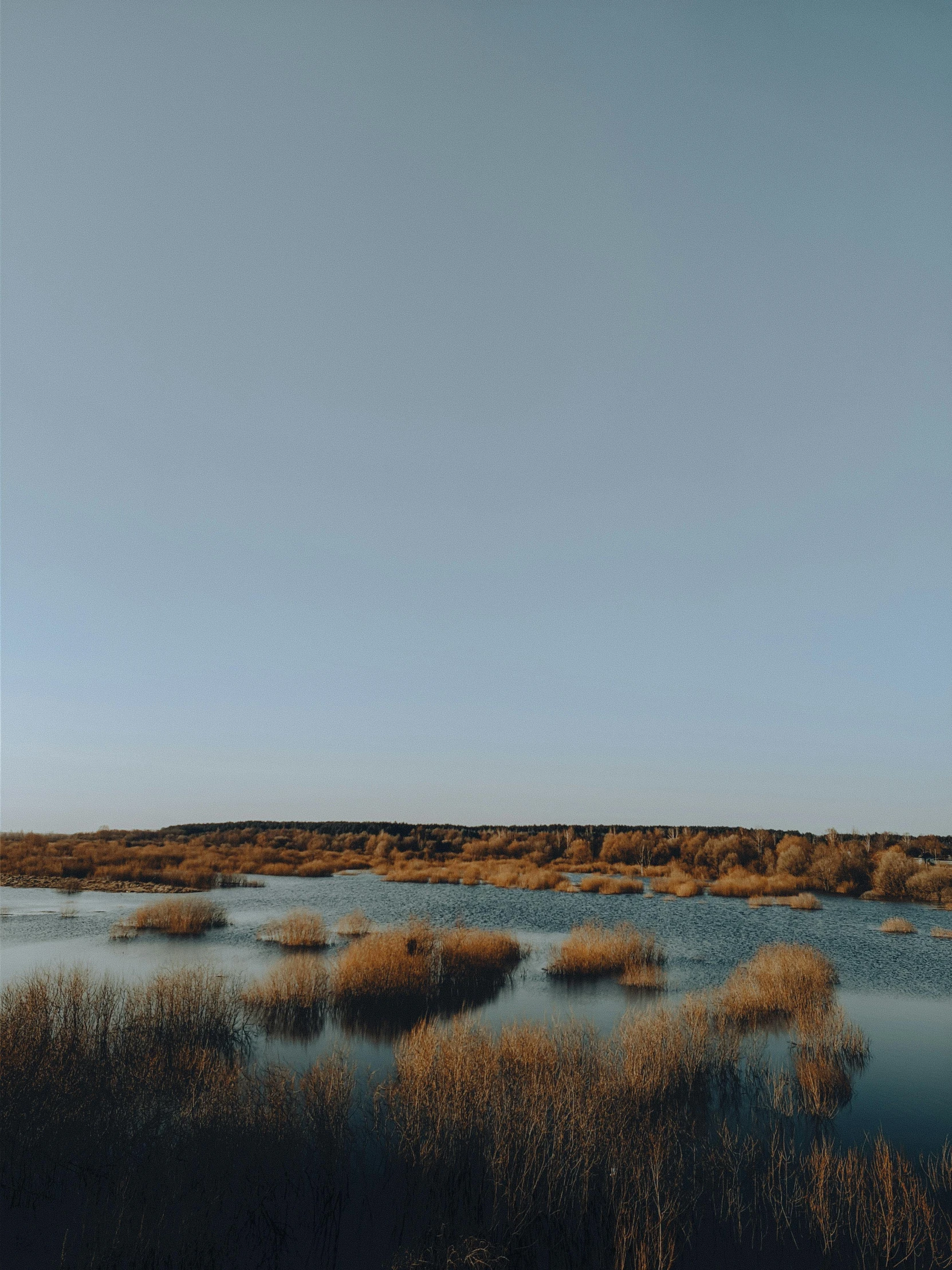 an empty river flowing through a grassy field