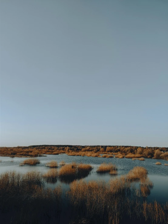 an empty river flowing through a grassy field