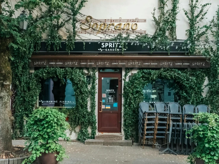 this is an image of a building with vines growing outside