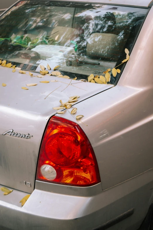 a silver car with a lot of leaves on the windows