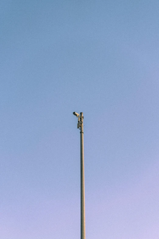 a bird is perched on a pole in front of the sky