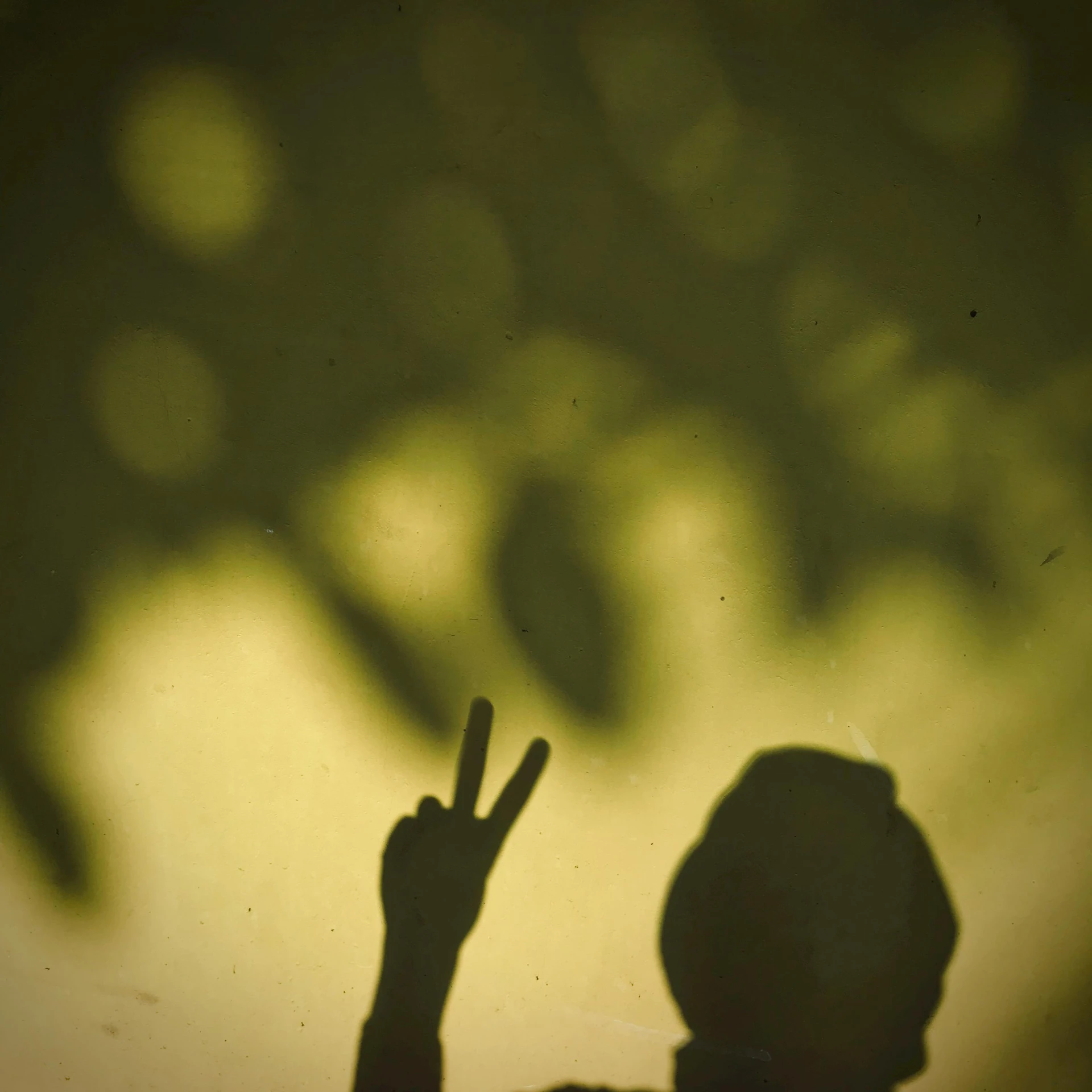 a man making the middle finger of a peace sign