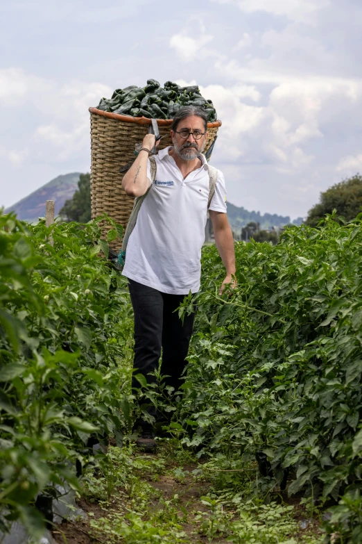 a man carrying a wicker box full of vegetables through a green field