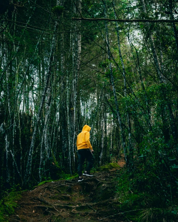 a person with a yellow jacket on walking in the woods