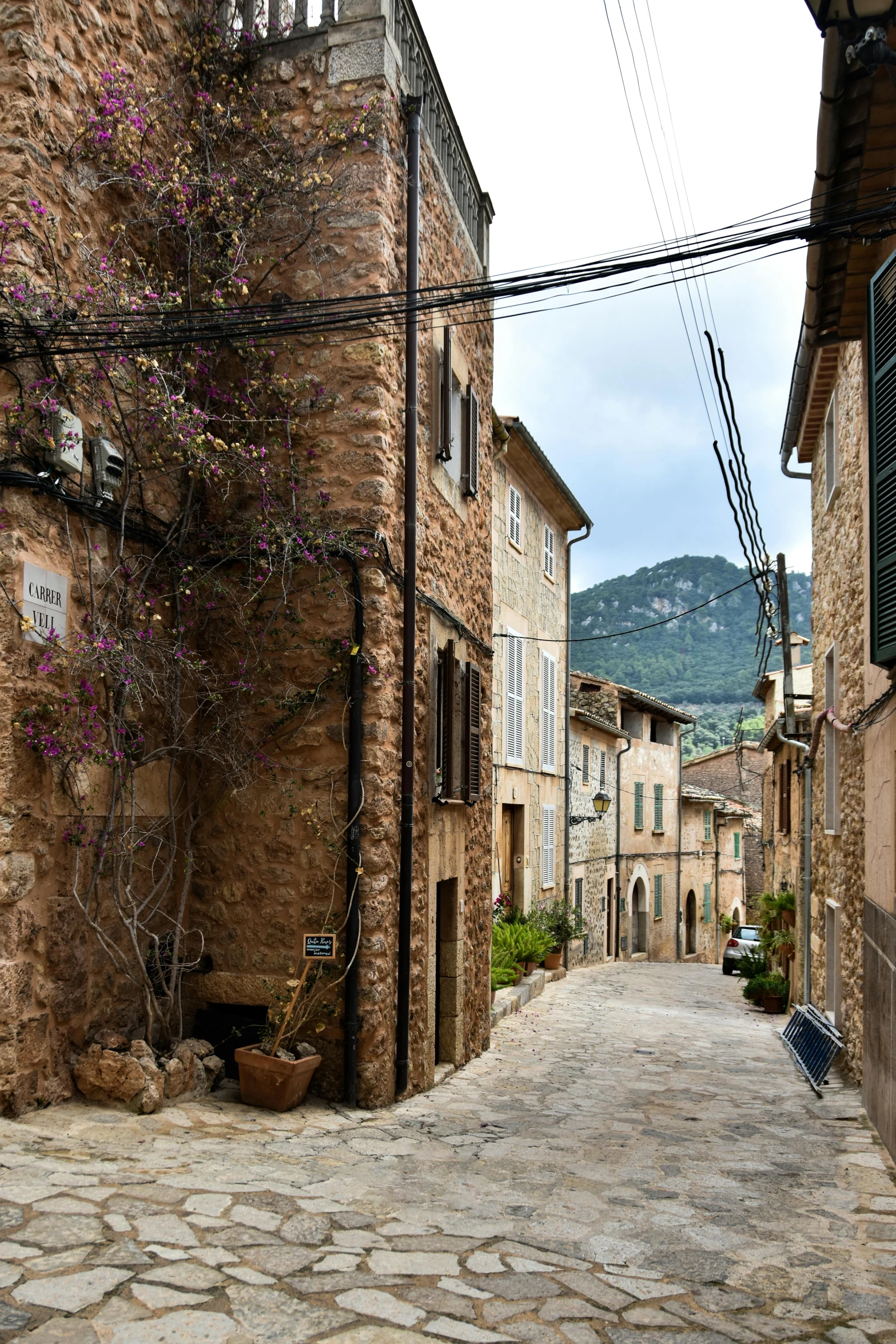 an alley way in an old village has stone walkways and small plants