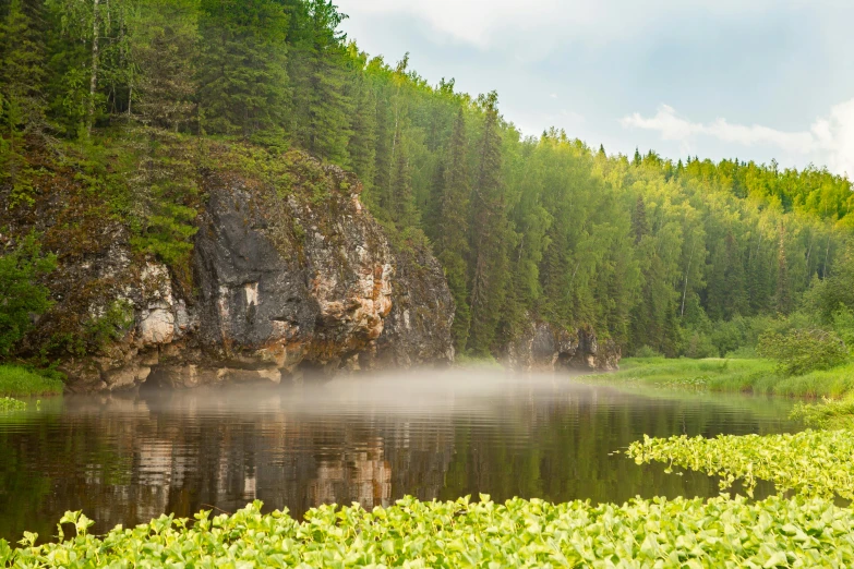 a lake surrounded by tall green trees next to a lush green forest