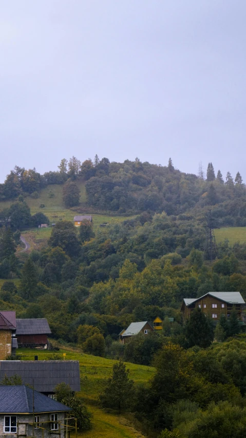 a green hill covered in trees next to lush greenery