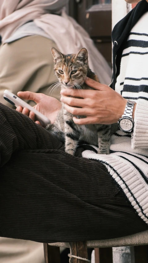 a woman holds her cat while looking at her cellphone