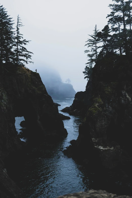 some fog and water at a small mountain lake