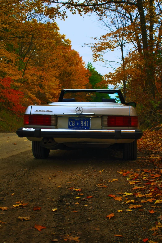 an old, mercedes benz sports car parked in the autumn leaf covered park