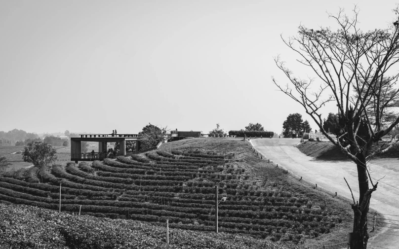 a field with trees, dirt road and a train on it