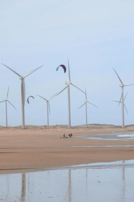 a group of wind turbines stand in the background of a beach