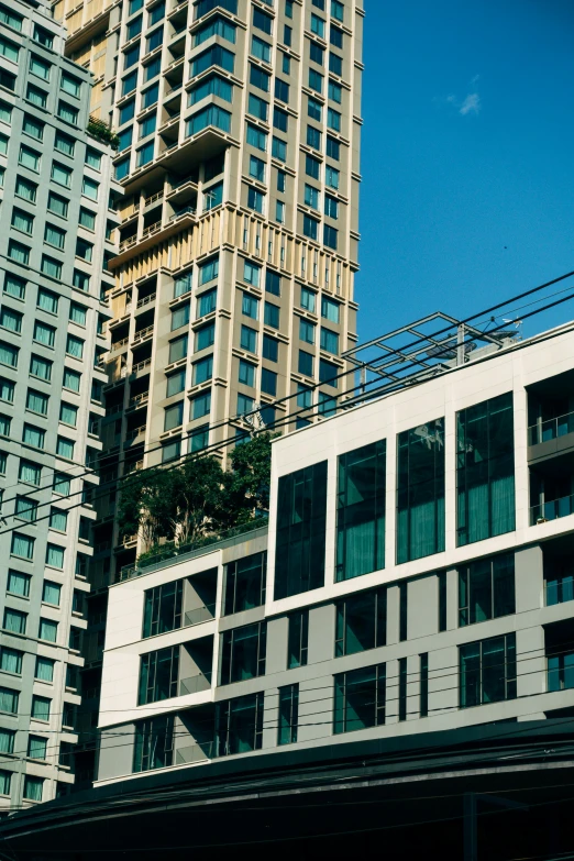 tall buildings with balconies and trees in the foreground