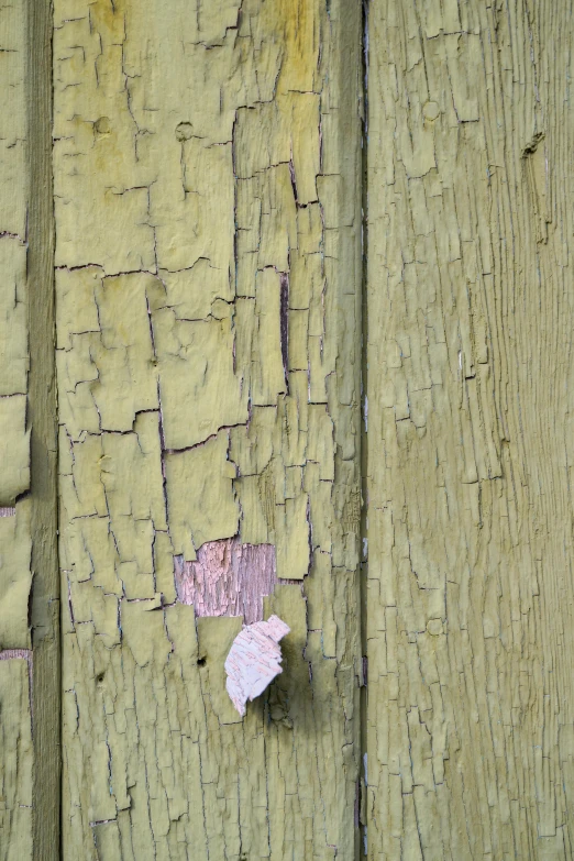 a peeling paint on wood with an umbrella