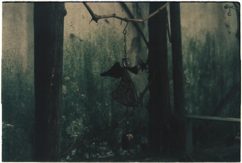 a bat hanging from a tree nch with a lantern