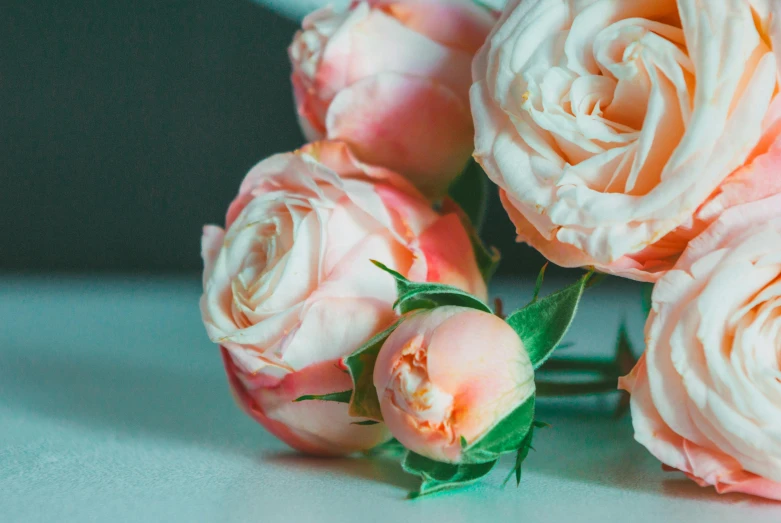 several peach roses sit atop a table