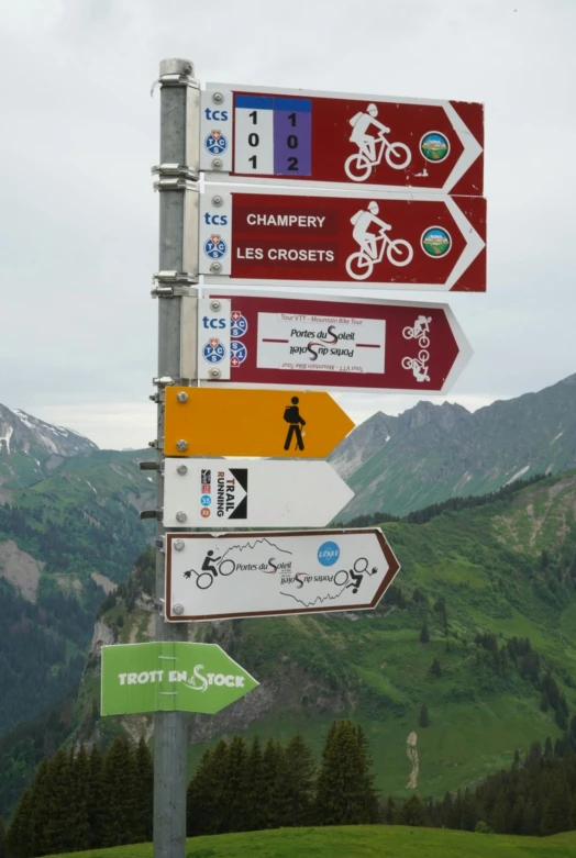 many street signs in a variety of directions