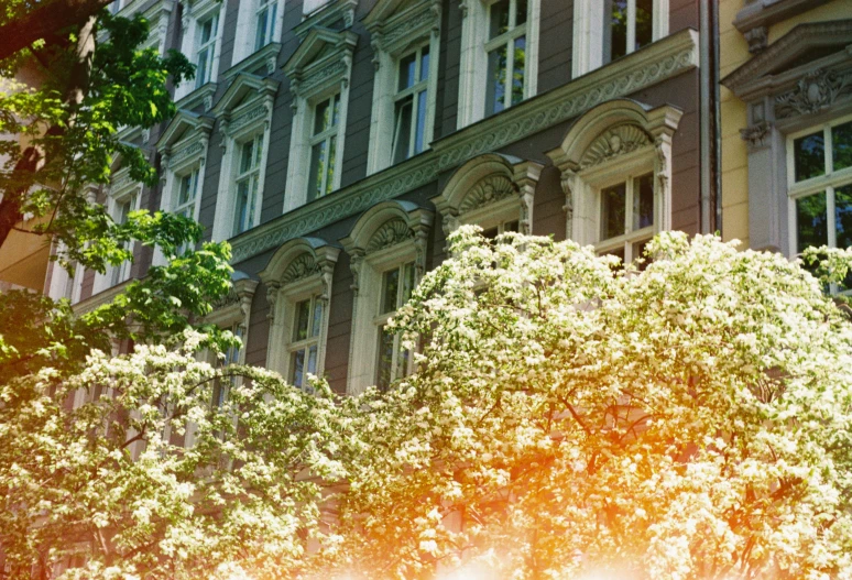 sunlight is shining down on a building with windows