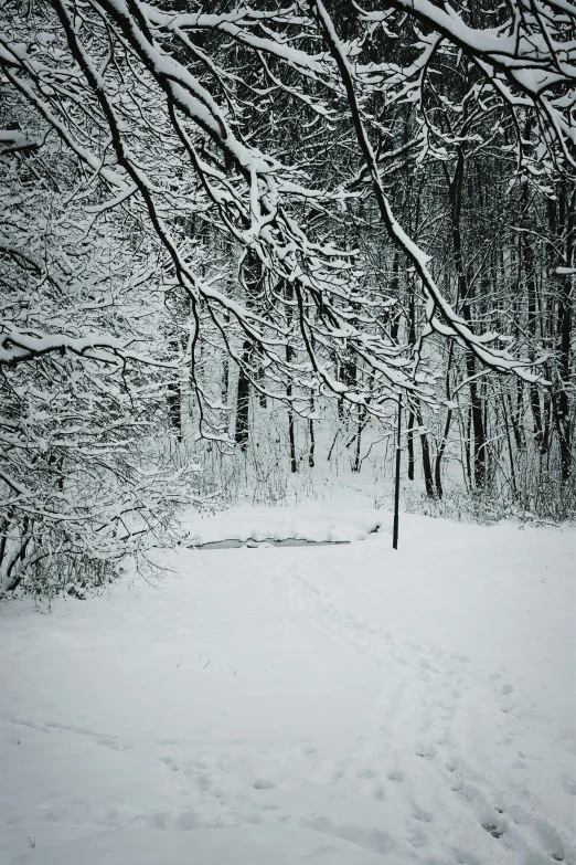 a snowy landscape, with tracks and a small area covered by snow