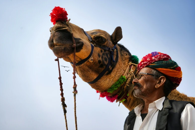 an indian man with beard and headgear riding a camel