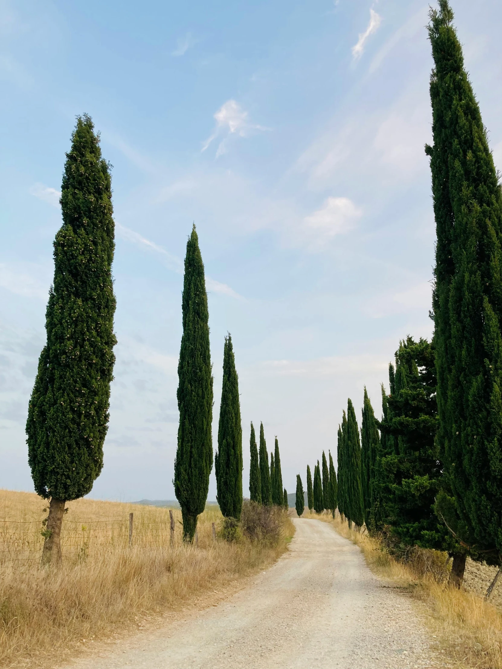 a dirt road with a gravel road that goes to the grass