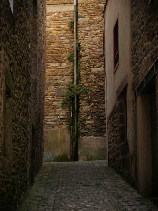 the alley way in an ancient castle with cobblestones