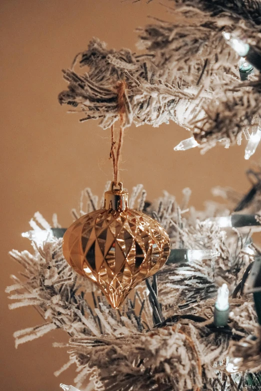 ornaments adorning the tree nches that are decorated with white and silver decorations