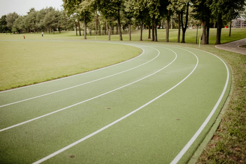 the track is running very well through the trees