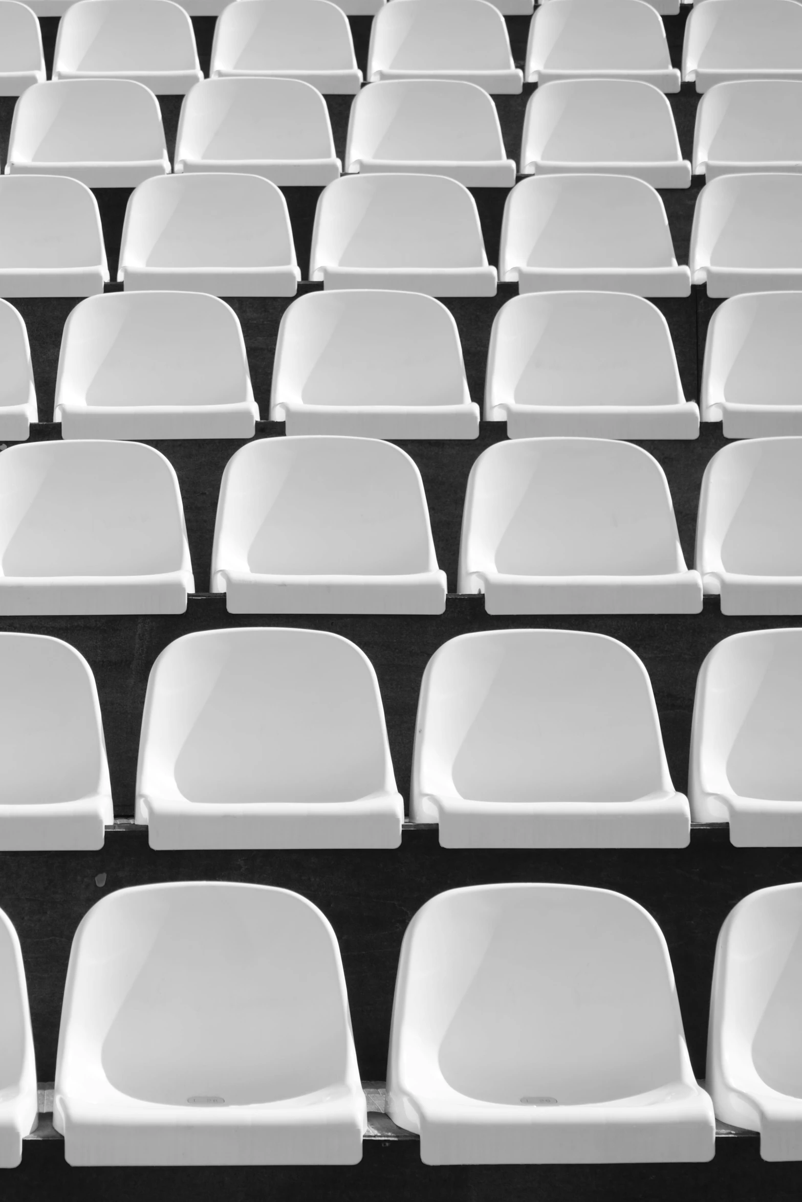 white chairs are placed together in the stadium