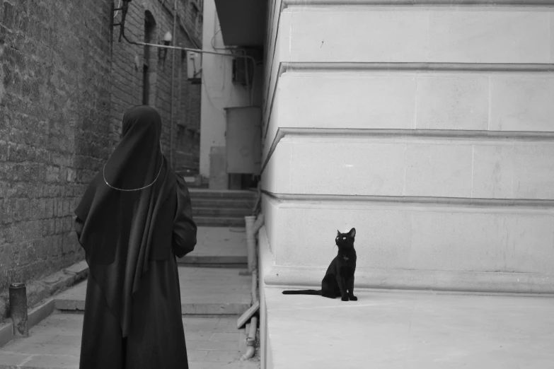 a cat is standing outside in front of a woman