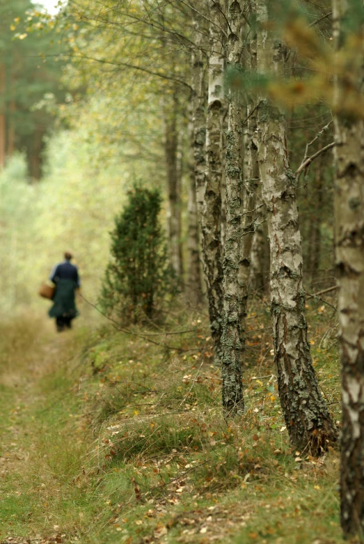 a man in blue jacket standing by trees