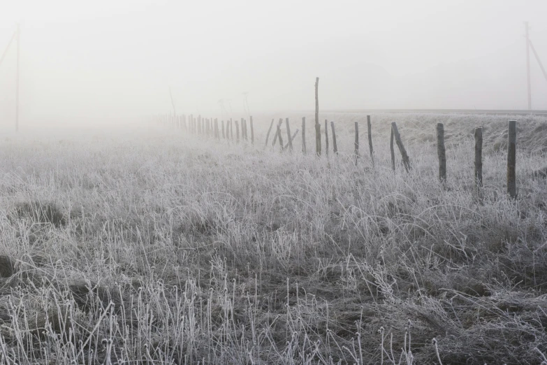 a field with fog and a wooden fence in the foreground