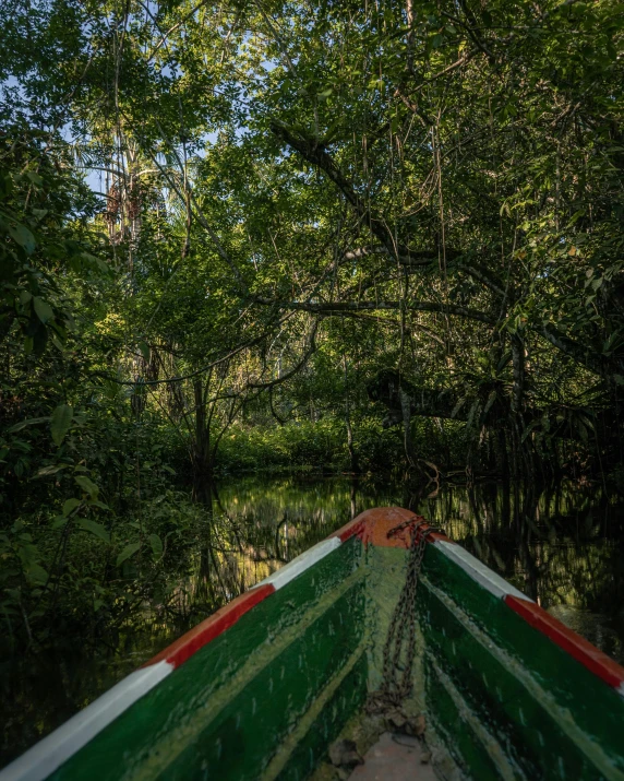 a boat traveling down a river next to lush green forest