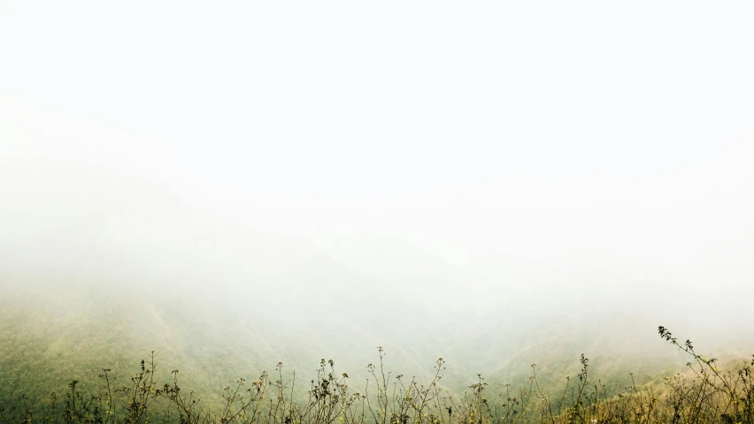 a hazy view of some mountains and grass