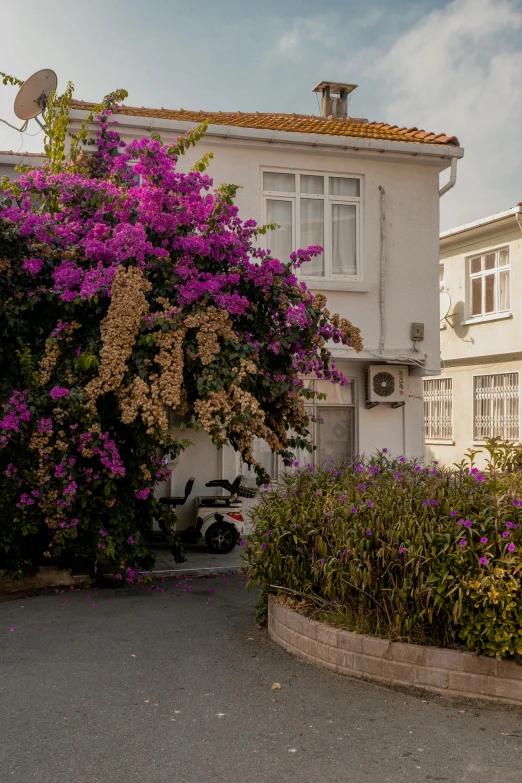 a house with purple flowers on it next to bushes