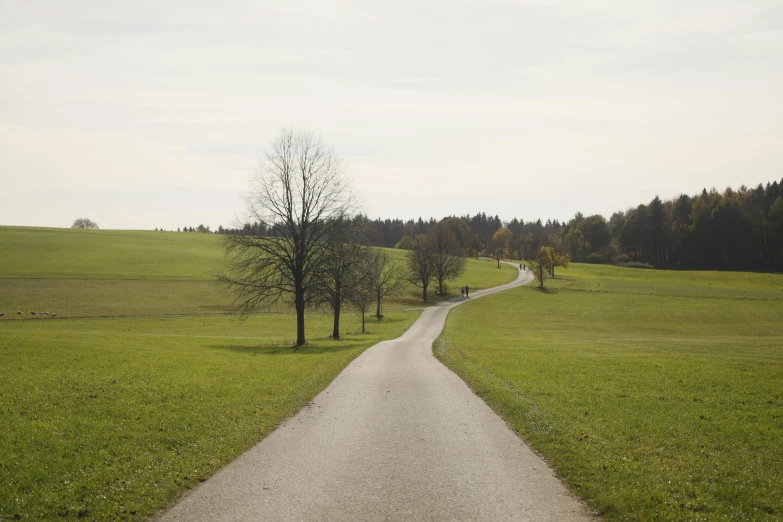 an open, grassy landscape with a narrow paved pathway leading into the distance and trees to the far end