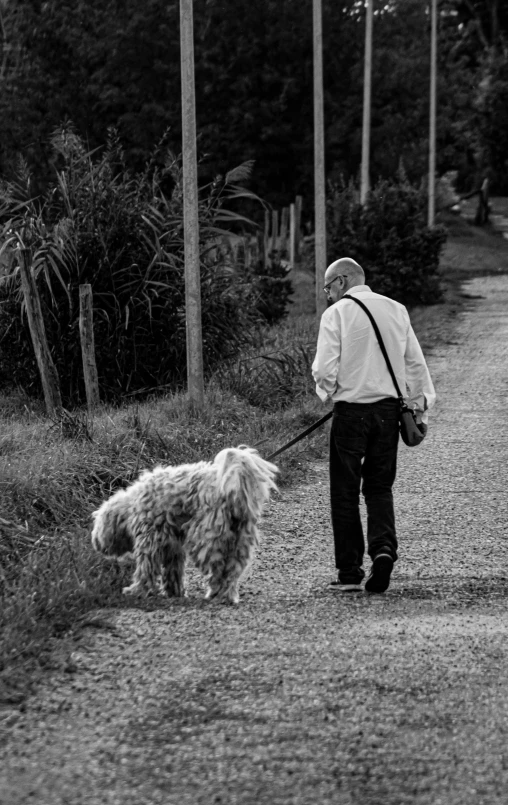 a black and white po of a person walking a dog