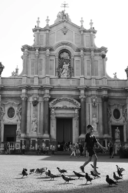 a group of birds walk in front of a cathedral