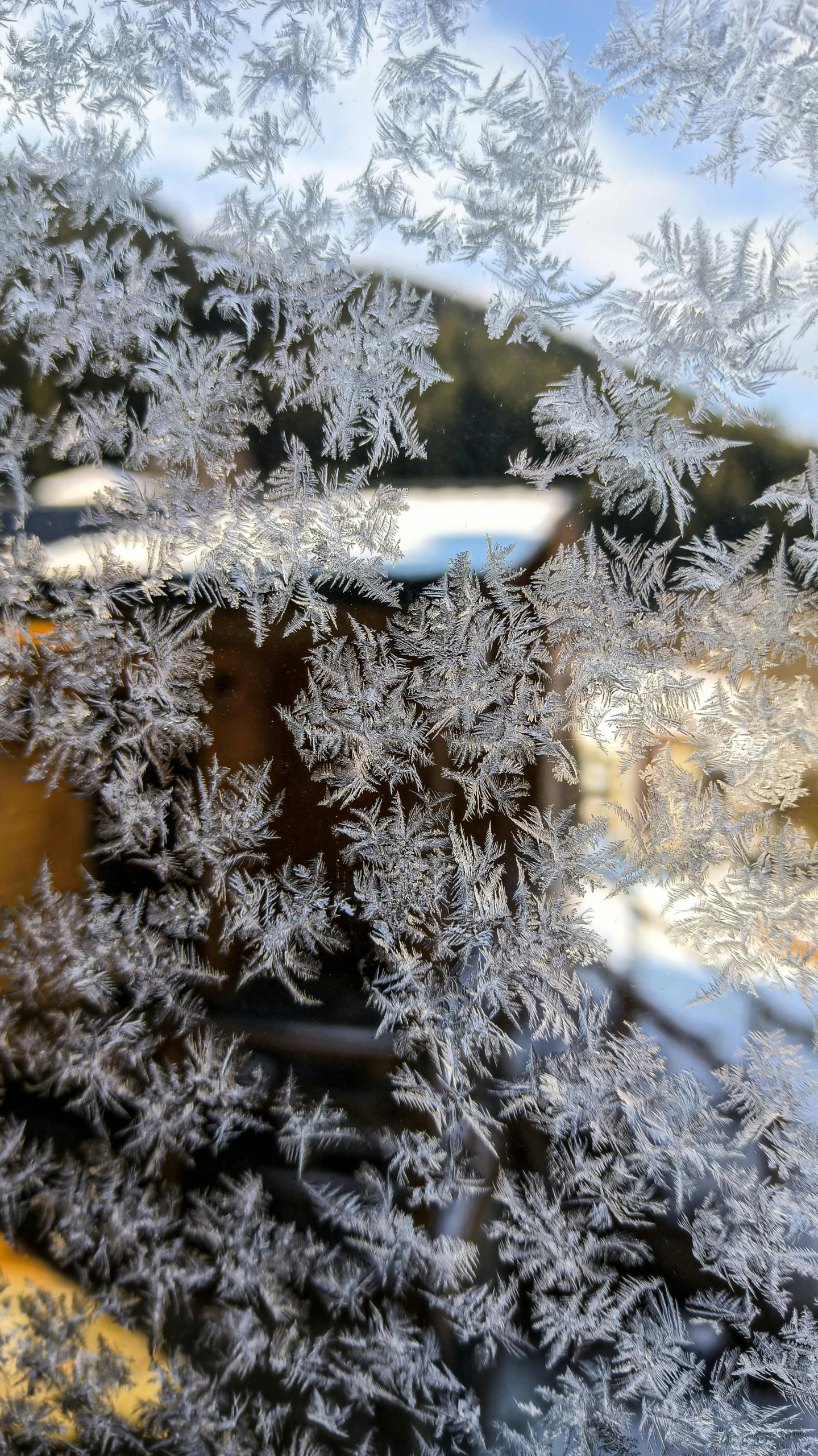 the view outside through a frosty window