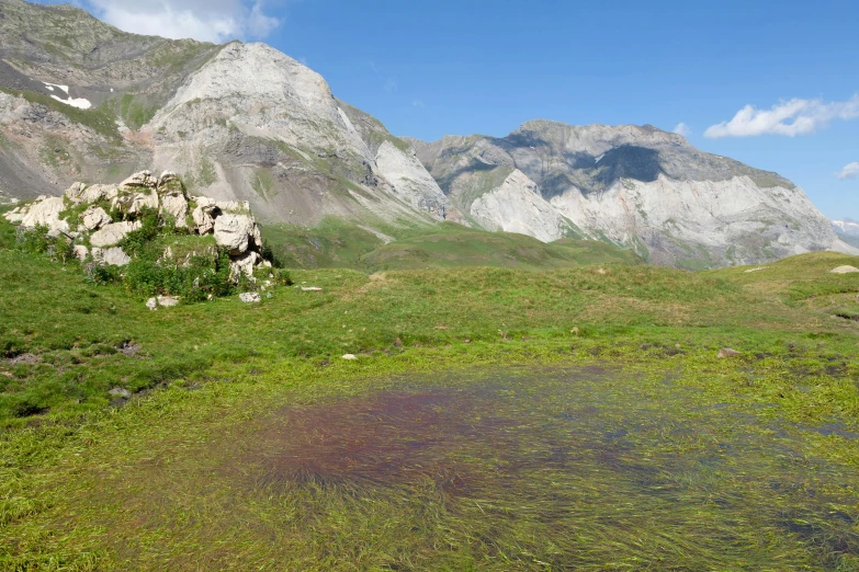 a group of rocky mountain peaks sitting above green grass