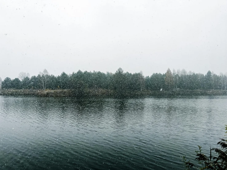 water and land in a cloudy day near trees