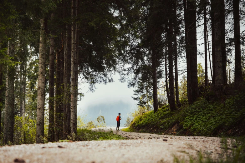 a woman stands at the end of a pathway by trees