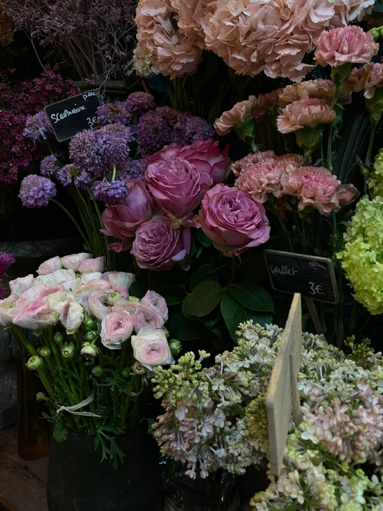 a large variety of flowers on display in a store